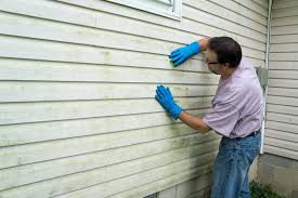 Best Siding Painting and Refinishing  in Saluda, SC